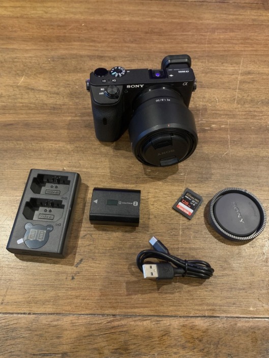 Sony Alpha a6600 24.2MP Mirrorless Camera - with 16-50mm lens and charger - Image 1